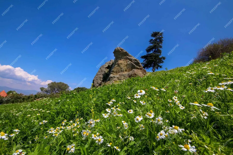 Ağlayan Kaya (Weeping Rock)