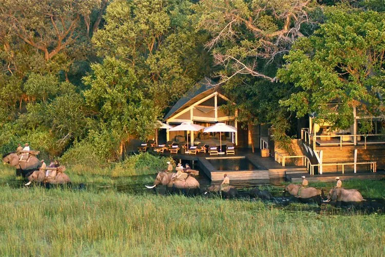 Abu Camp
