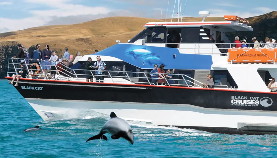 Akaroa Harbour Cruise
