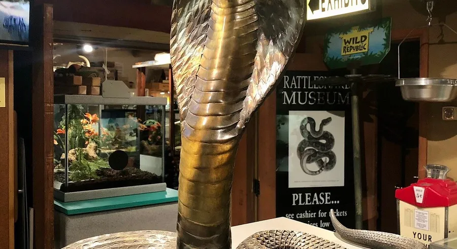 Albuquerque Museum / Rattlesnake Museum area