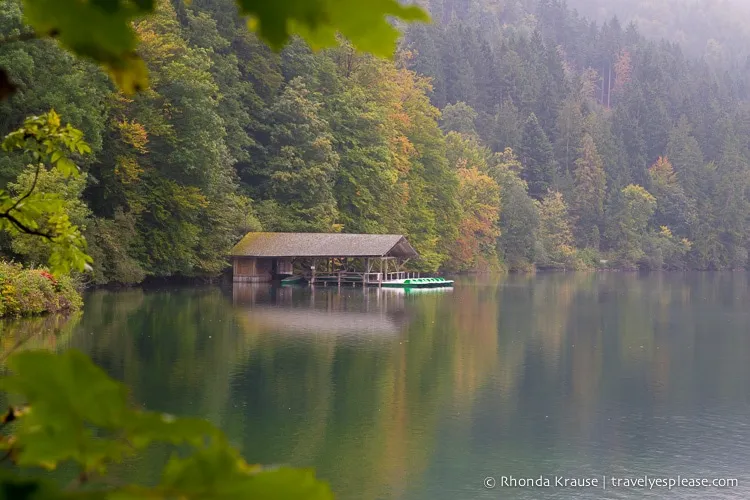 Alpsee Lake