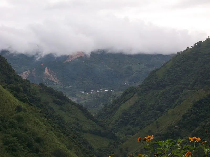 Alto de Minas