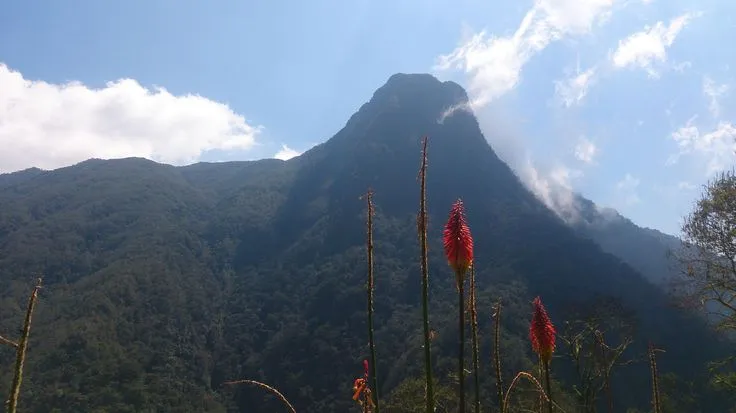 Alto de Morrogacho
