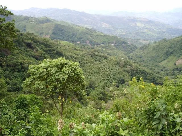 Alto del Trigo
