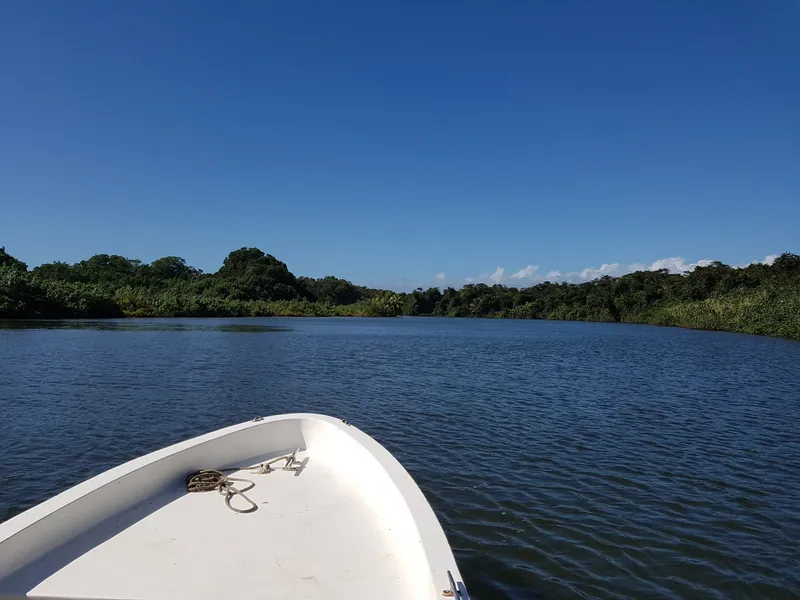 Anderson Lagoon