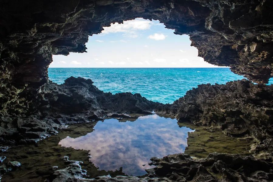 Animal Flower Cave
