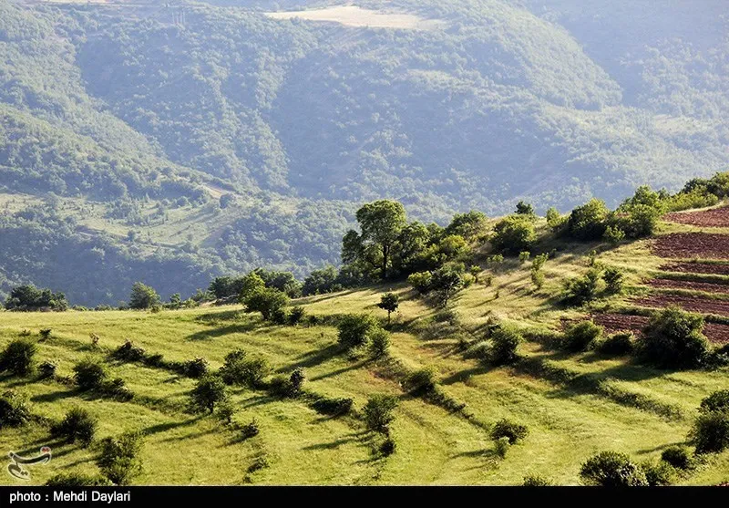 Arasbaran Protected Area (nearby)