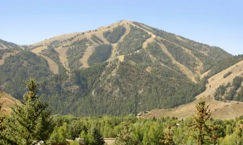 Bald Mountain