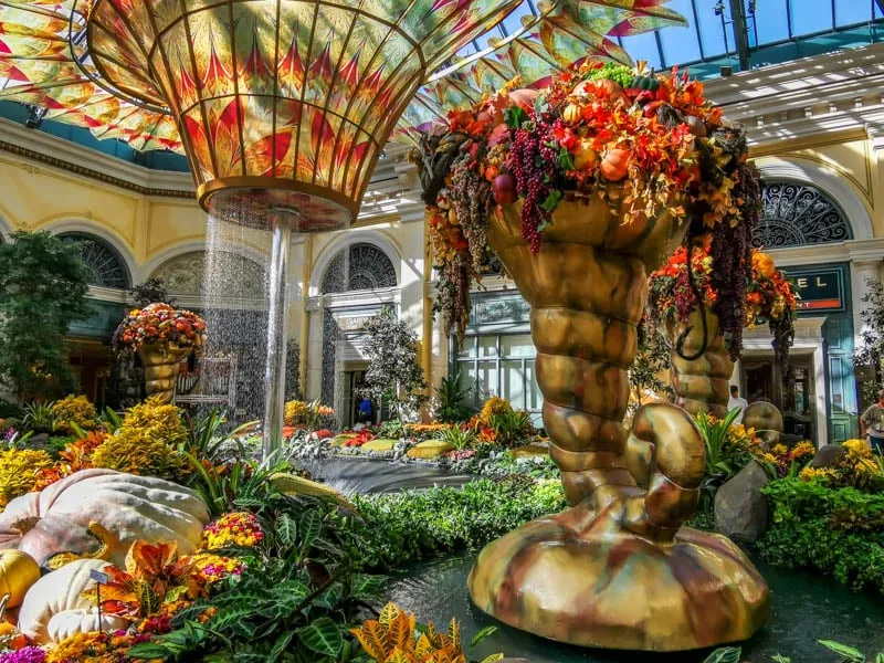 Bellagio Conservatory & Botanical Garden