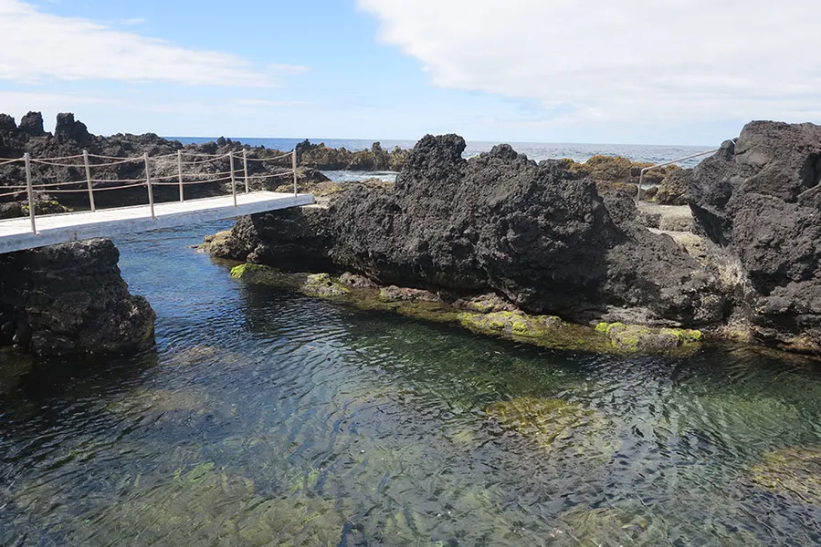 Biscoitos Natural Pools