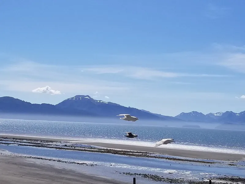 Bishops Beach Park