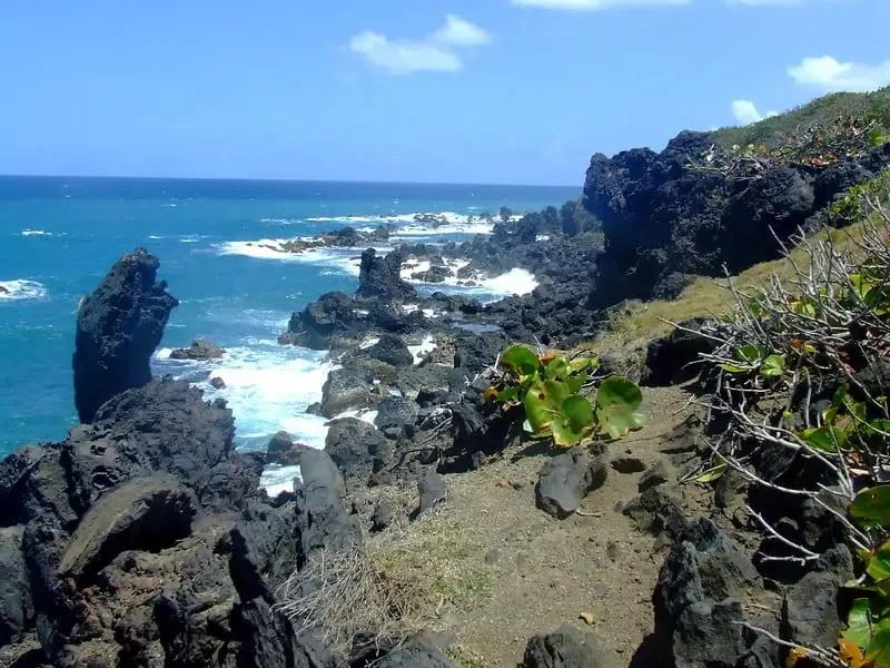 Black Rocks