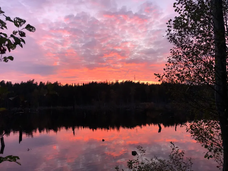 Bogesundslandet Nature Reserve