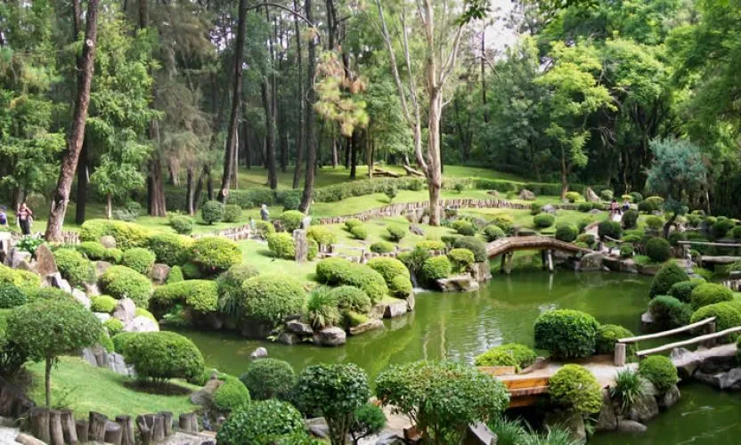 Bosque Los Colomos