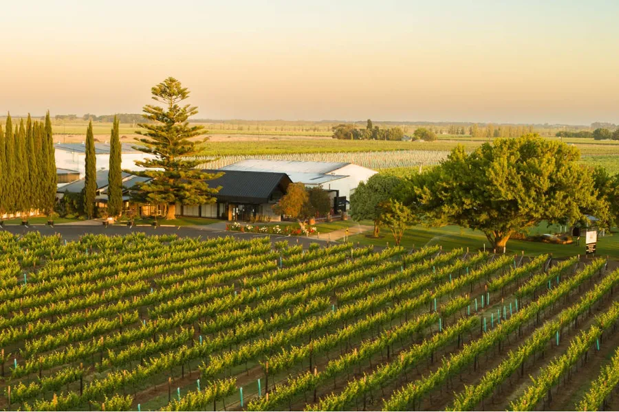 Brand's Laira Coonawarra