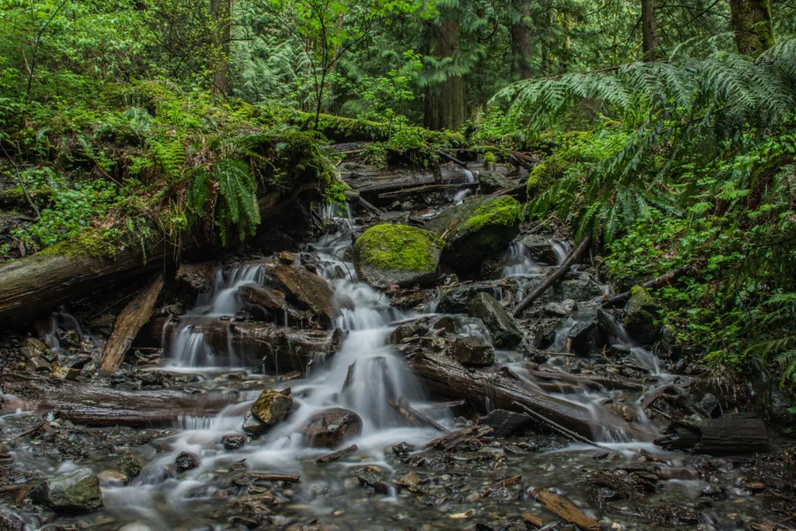 Bridal Veil Falls Provincial Park