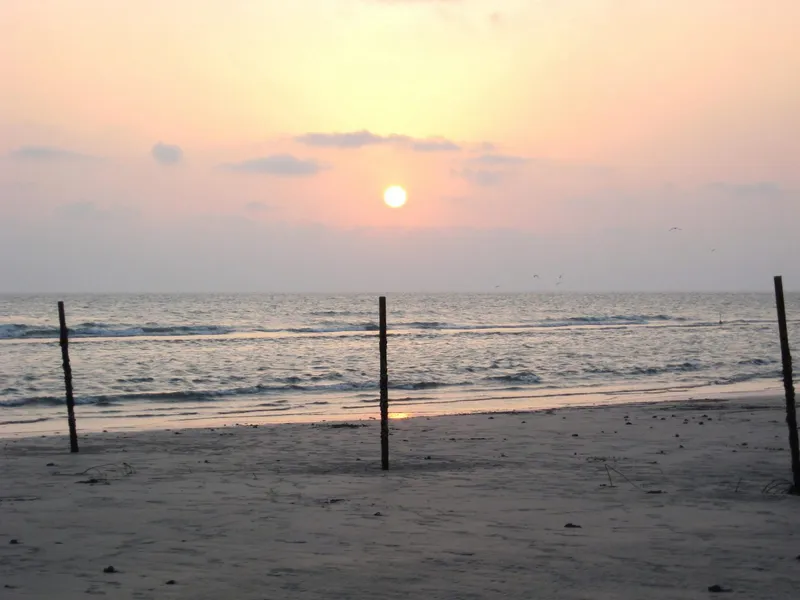Burum Coastal Area