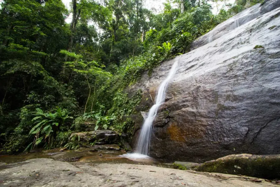 Cachoeira dos Primatas