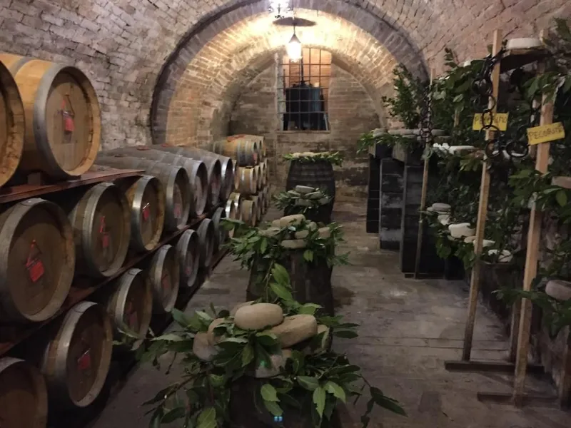 Cantina Ercolani