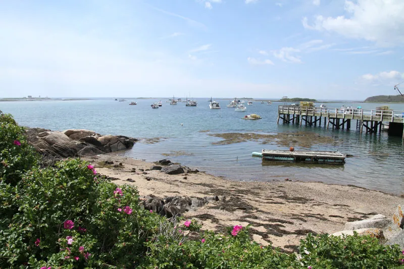 Cape Porpoise