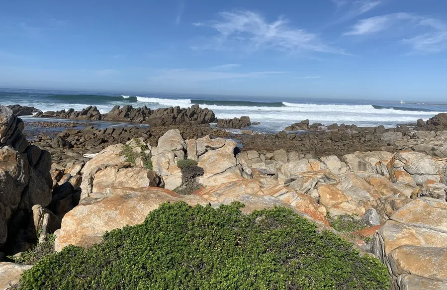 Cape St. Francis Nature Reserve