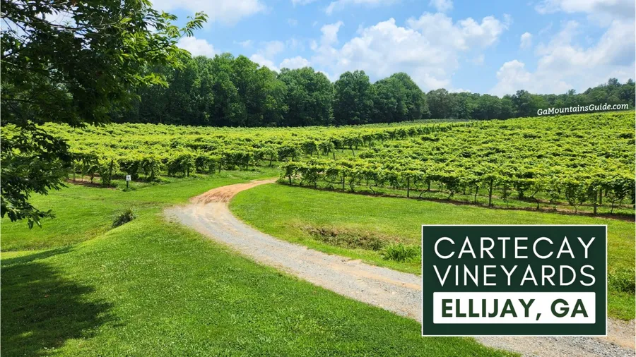 Cartecay Vineyards