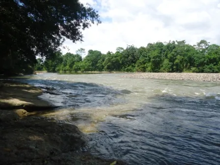 Cascada de Latas