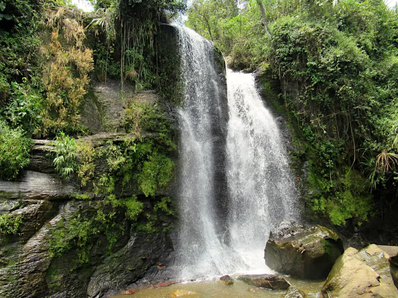 Cascadas de Guadalupe