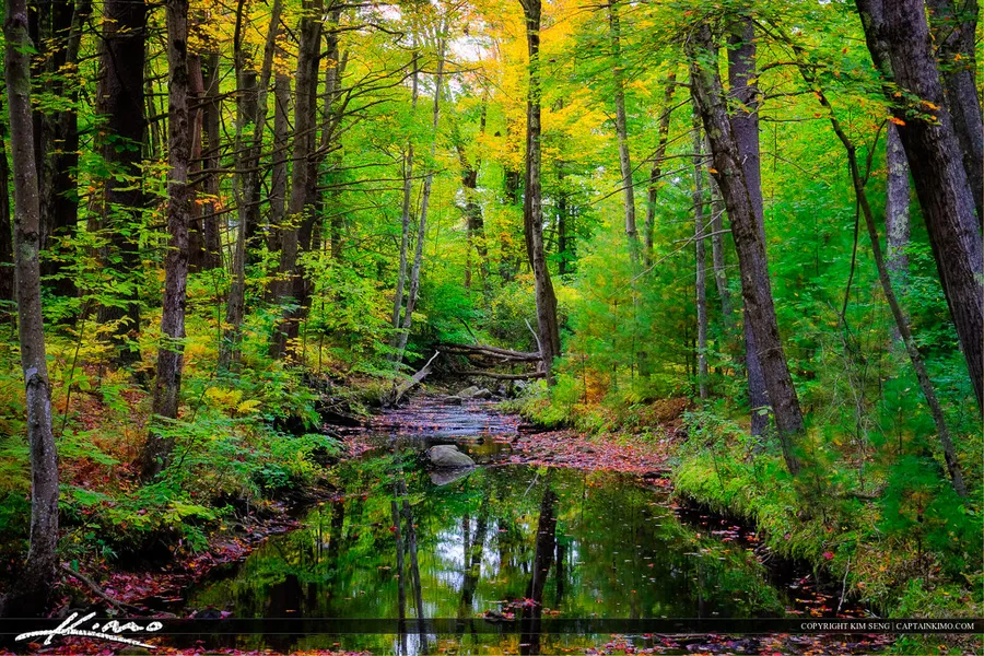 Cascade Falls Park