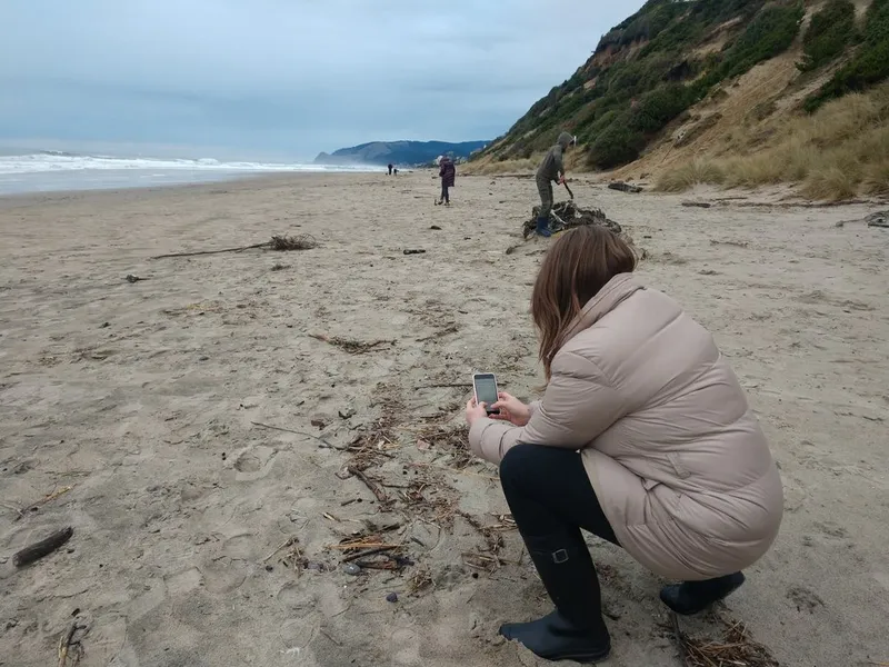 Cascade Head Scenic Research Area