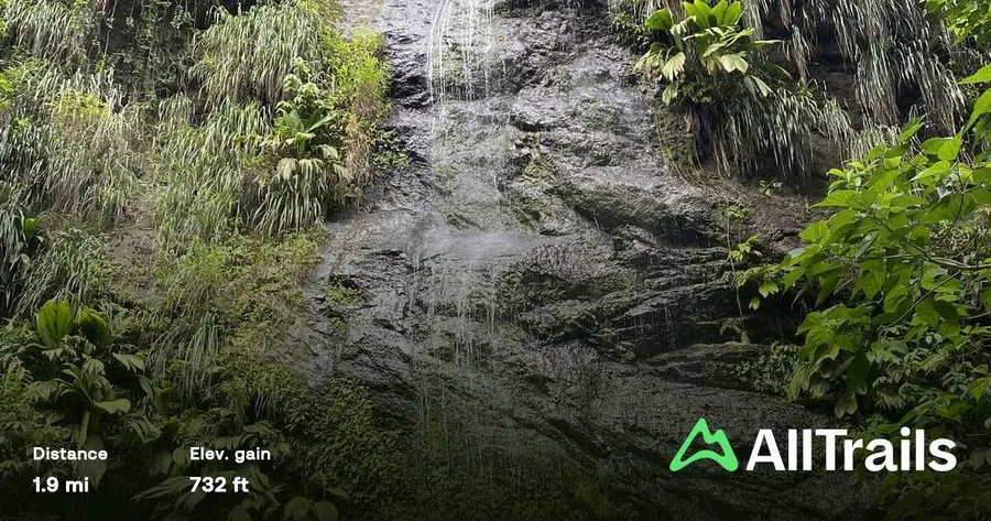Cascades de la Rivière Couleuvre