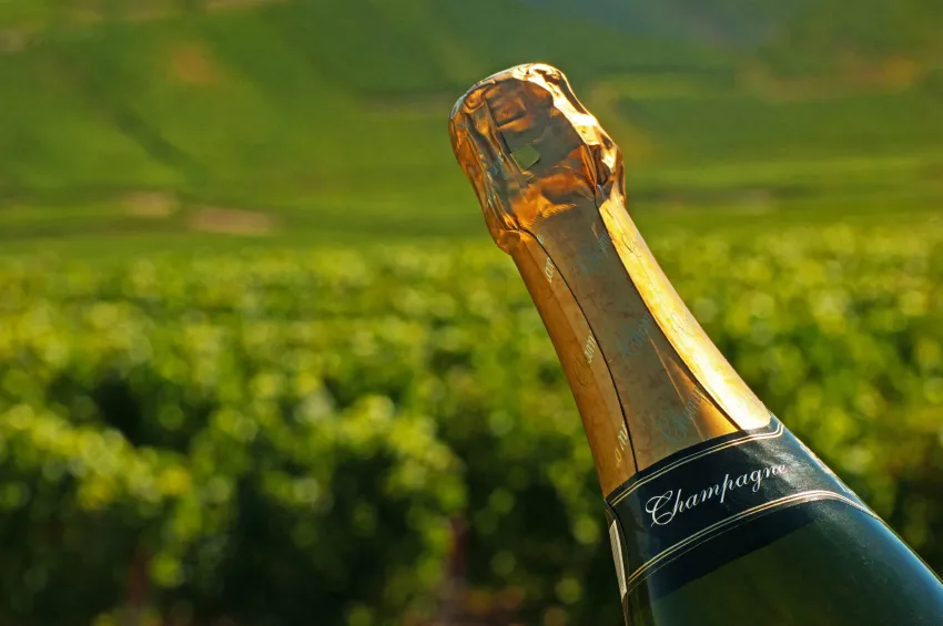 Champagne Tasting