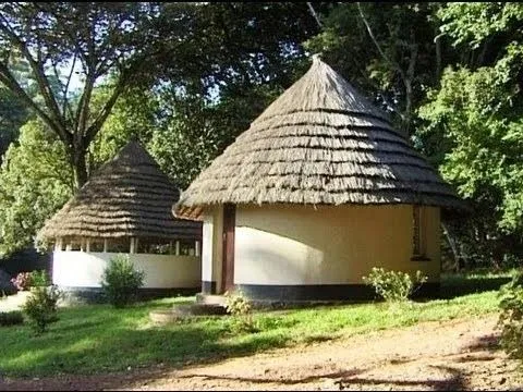 Chirinda Forest Botanical Reserve
