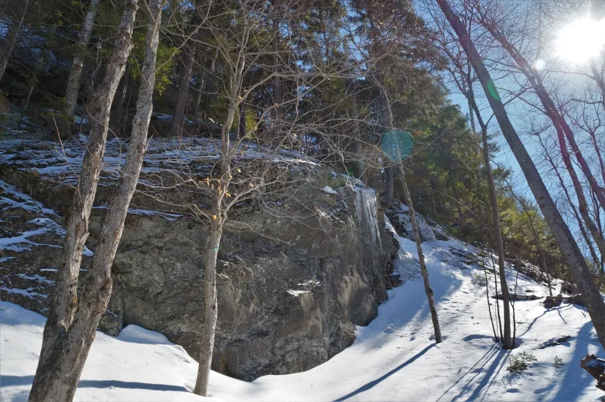 Cobble Hill Trail