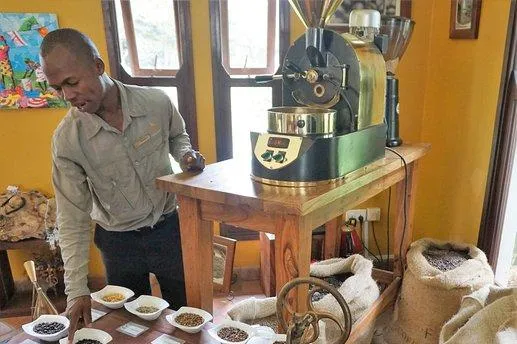 Coffee Plantation Tour
