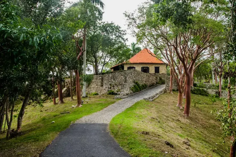 Coffee Plantations