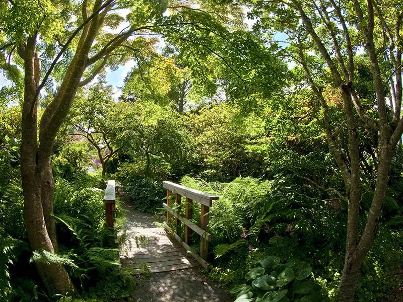 Connie Hansen Garden Conservancy