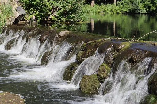 Cowling Arboretum (Carleton College)