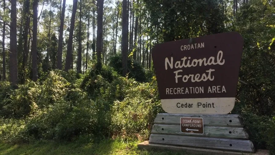 Croatan National Forest