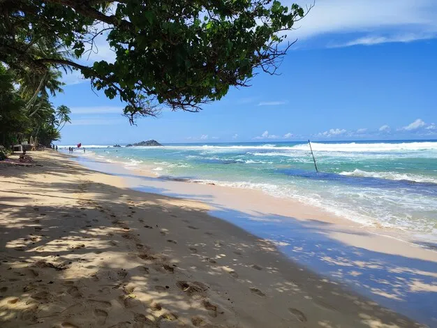Dalawella Beach
