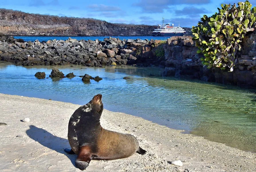 Darwin Bay