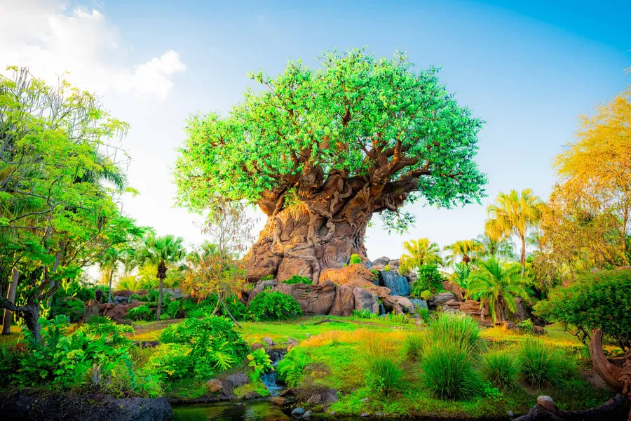 Disney's Animal Kingdom
