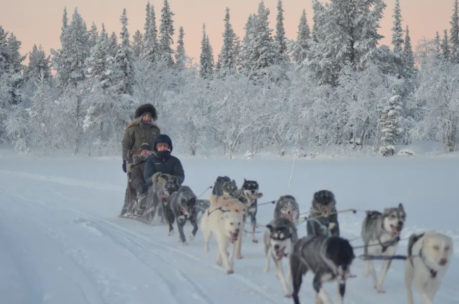 Dog sledding at Kiruna