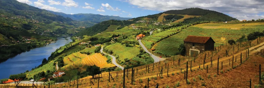 Douro River Cruises