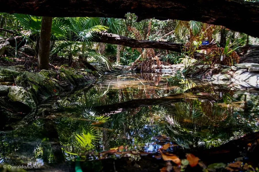 Dr. Alfredo Barrera Marin Botanical Garden