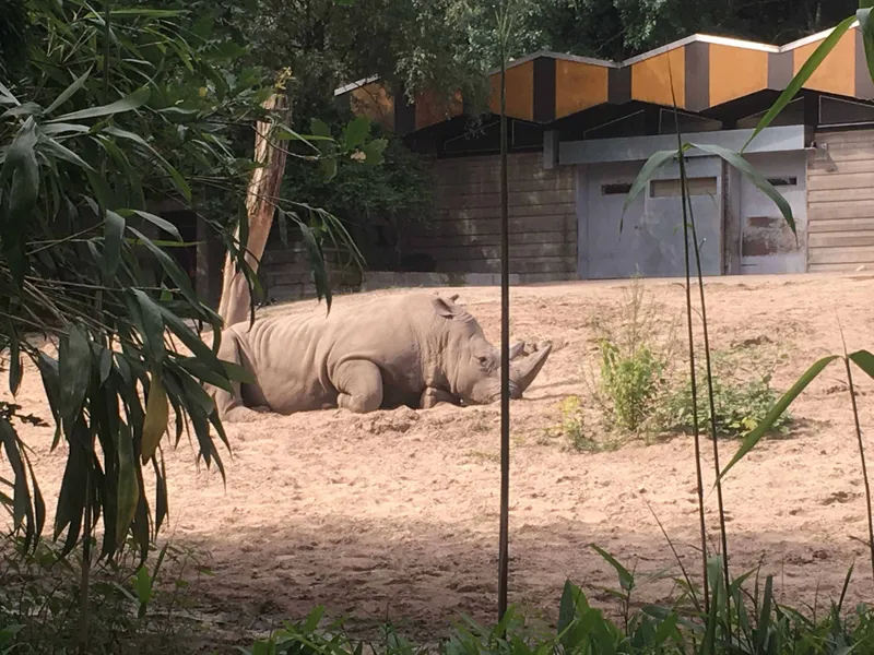 Duisburg Zoo