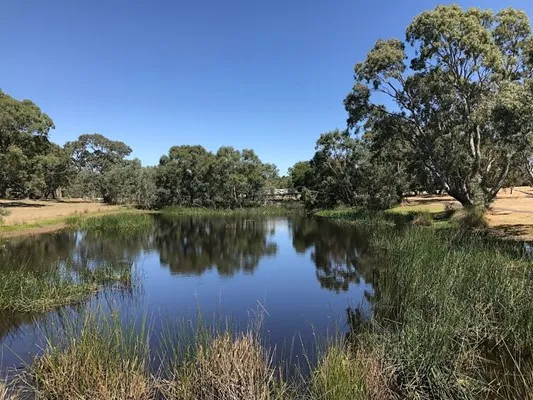 Dunkeld Arboretum