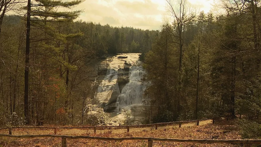Dupont State Recreational Forest