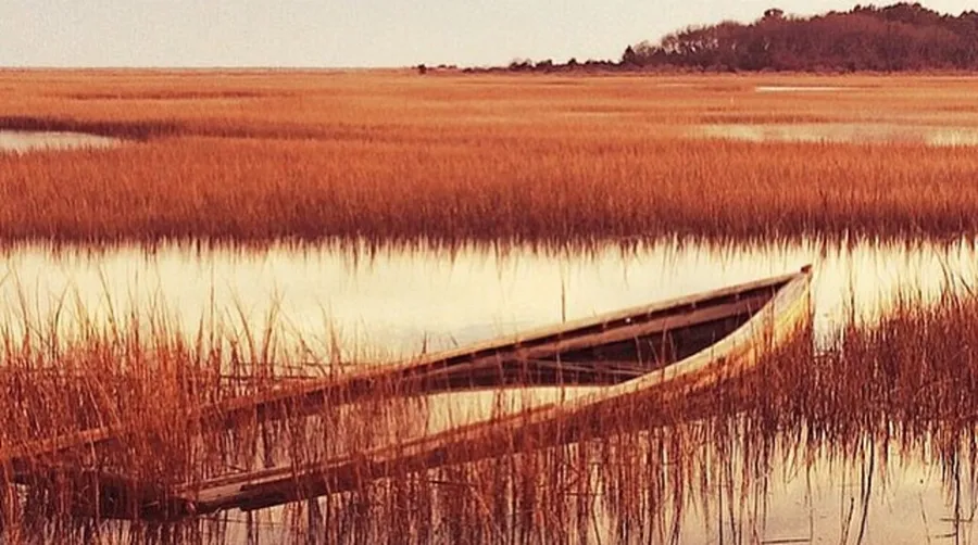 Eastern Shore National Wildlife Refuge