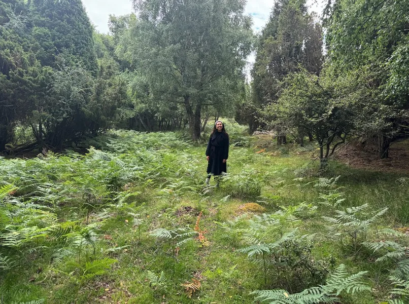 Eriksberg Nature Reserve